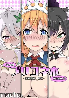 Ecchi na PriConne Bon ga Dekimashita ~Bishokuden Hen Zenpen~ (Princess Connect! Re:Dive)